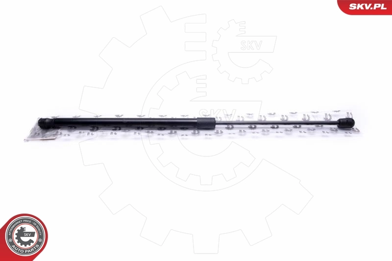Gas Spring, boot/cargo area